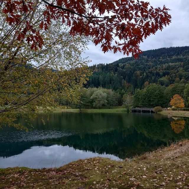 Vosges Mountains