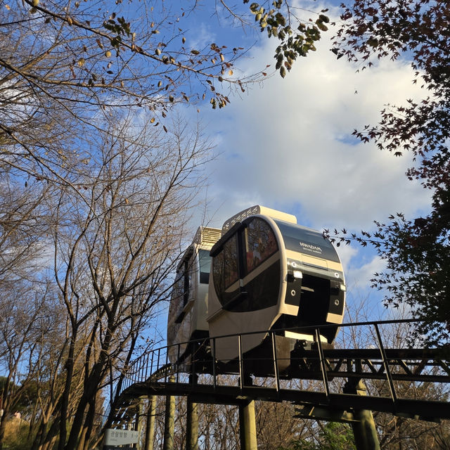 🍁🍂가을을 온전하게 느낄 수 있는 화담숲🍁🍂
