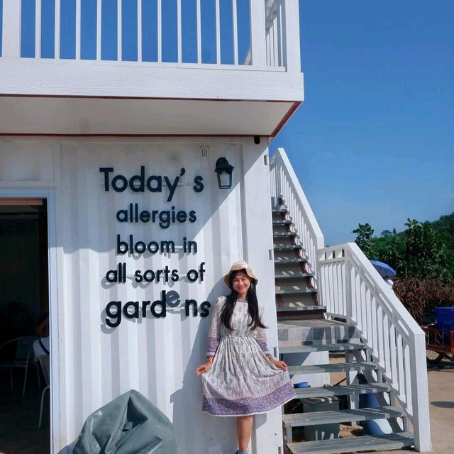 Hydrangea Cafe 🌸🏵