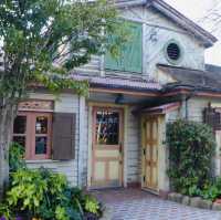 Magic, Parades, and Fireworks: My Enchanting Day at Disneyland Tokyo!