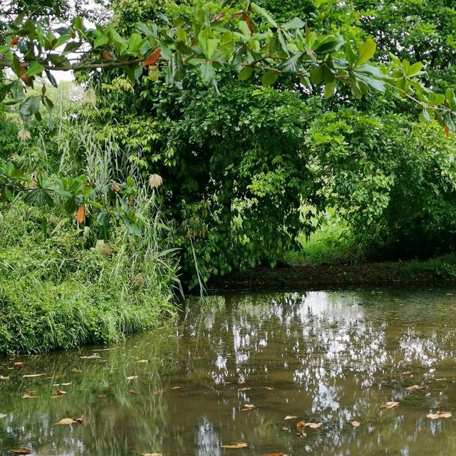 Kranji Marshes