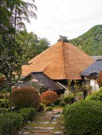 【ここ行って】本当は教えたくない🙅丹波地方最古の寺院で見る紅葉✨