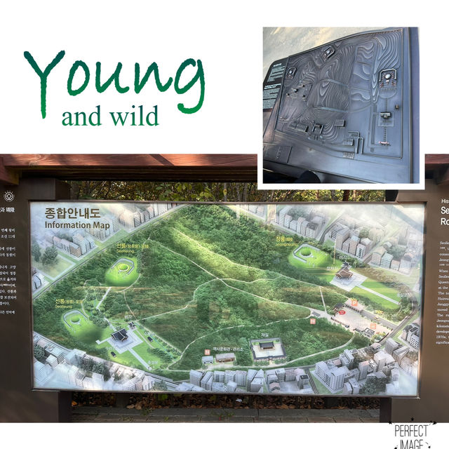 發掘首爾江南區遺跡景點…