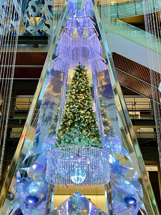 大阪 ❤︎まるで万華鏡🪞✨室内の巨大なクリスマスツリー⭐️ 