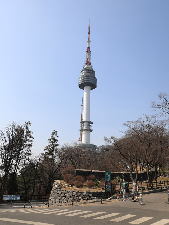 【ソウル🇰🇷】街を眺める優雅な休日