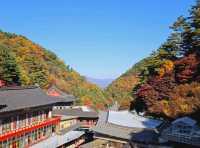 Fall season at the biggest temple in Korea, Guinsa Temple