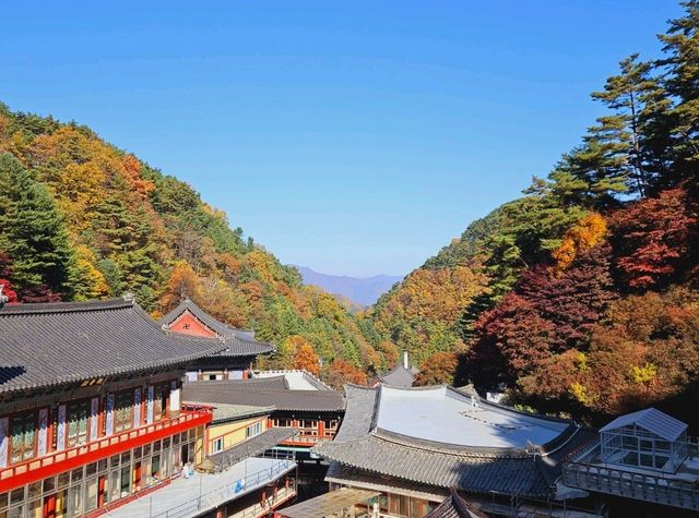 Fall season at the biggest temple in Korea, Guinsa Temple