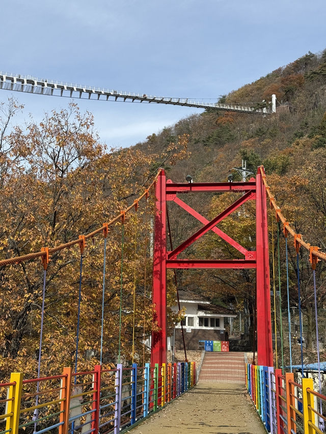 (실시간) 가을을 맞아 더욱 아름다워진 진안 운일암반일암 출렁다리🍁🤎