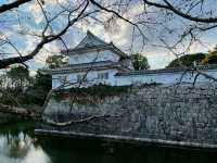 Minakuchi Castle Ruins