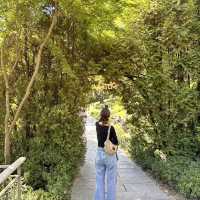 서울 근교 최고의 힐링 자연 스팟 화담숲🌳