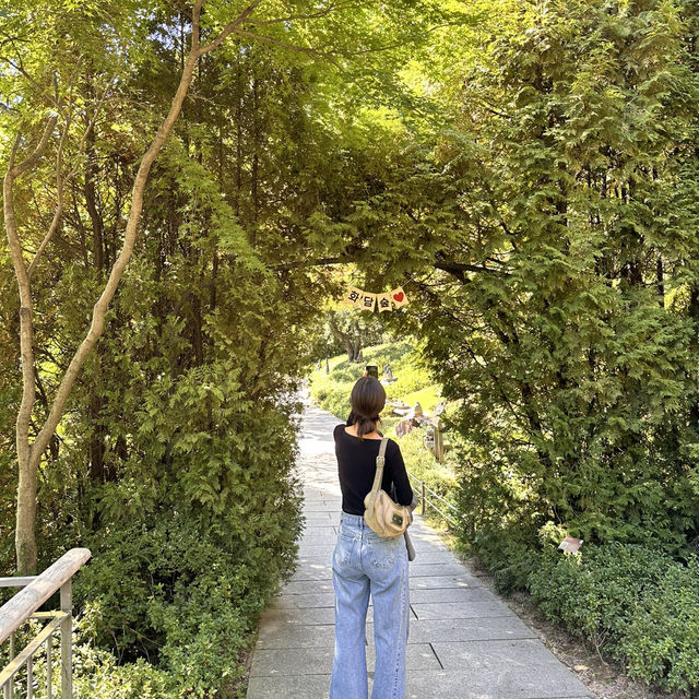 서울 근교 최고의 힐링 자연 스팟 화담숲🌳
