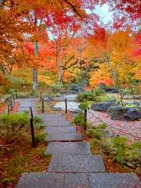 京都紅葉🍁嵯峨野の紅葉の名所🍁宝筐院🥰