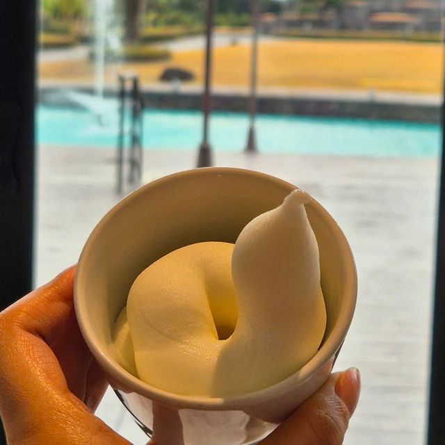 그랜드조선 제주 런치 후기💕