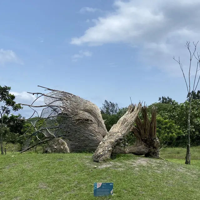 Yilan｜Free Attractions Perfect for Kids