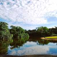 A Tropical Oasis in the Heart of the City