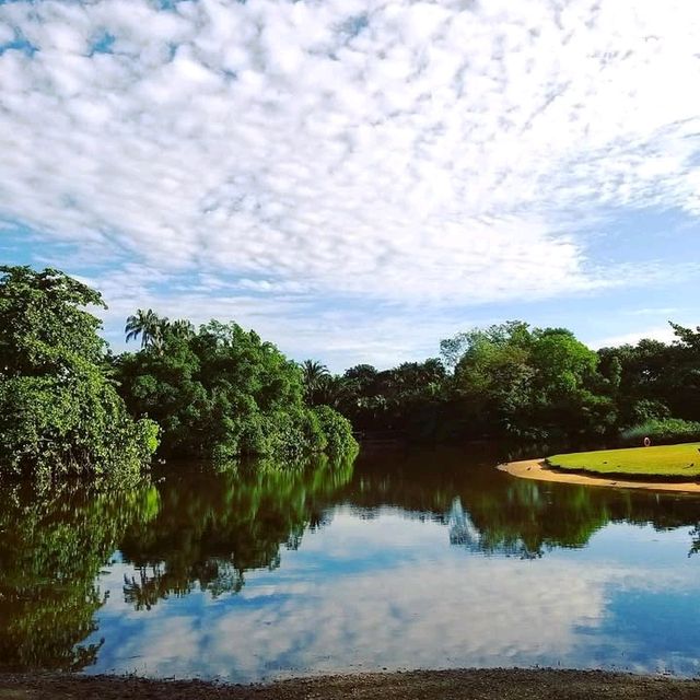 A Tropical Oasis in the Heart of the City