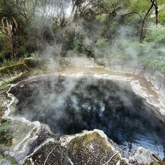 Steaming into Paradise: Unwinding at Mauri Te Puia