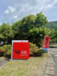 【鹿児島旅行】霧島／圧巻の壺畑！伝統製法で造られる黒酢の歴史情報館