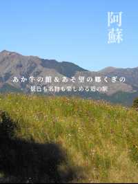 景色も名物も堪能できる、阿蘇の道の駅