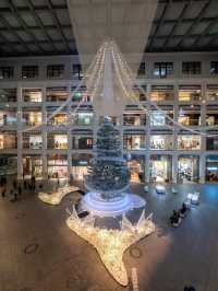 【寒い冬は室内で！✨】毎年大人気！WHITE KITTEが今年も開催！🎄