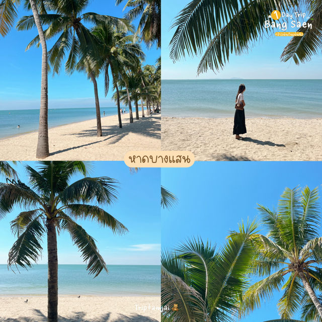 one day trip 🌴 บางแสน 