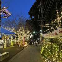 Picturesque views in Enoshima
