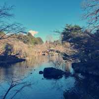 成田空港の近く古都成田🎍