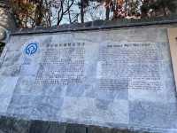 Conquering the Great Wall