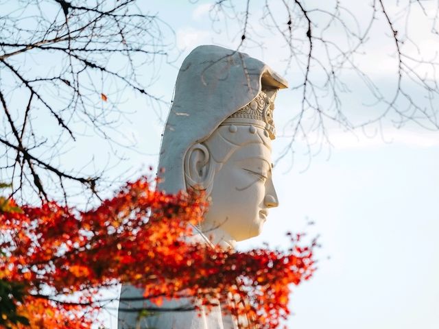 Kodaiji temple 