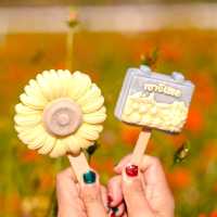คาเฟ่โฮมมี่ สไตล์คอทเทจ🌻🌼