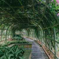 BEAUTIFUL PUTRAJAYA BOTANICAL GARDEN.