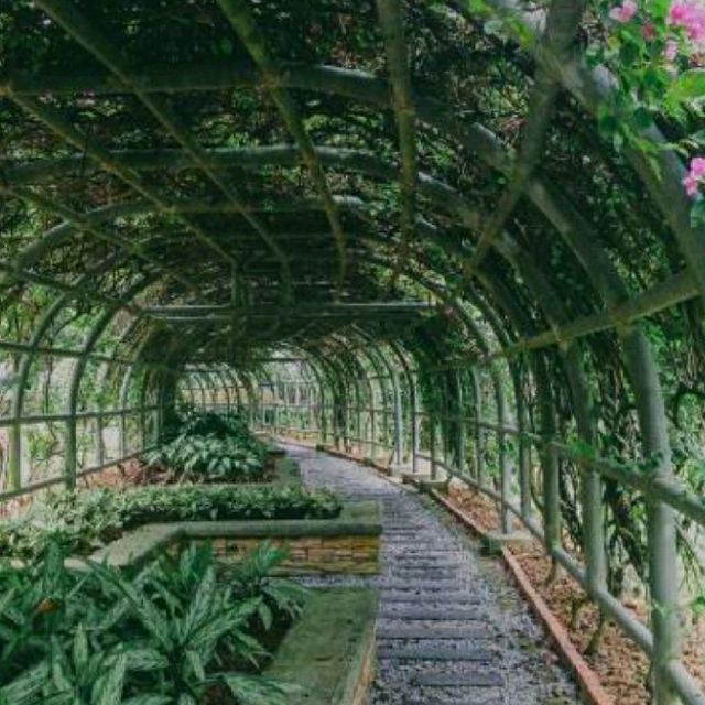 BEAUTIFUL PUTRAJAYA BOTANICAL GARDEN.