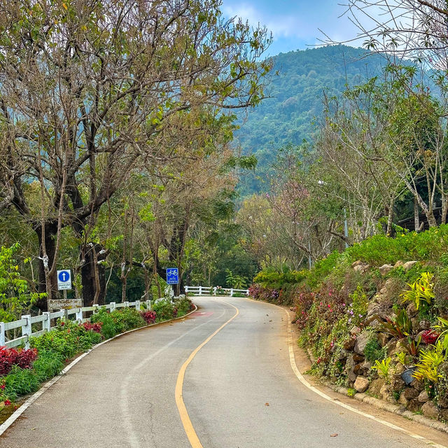 ป่าสูงสุด🔝 ของไทย สถานีเกษตรหลวงอินทนนท์