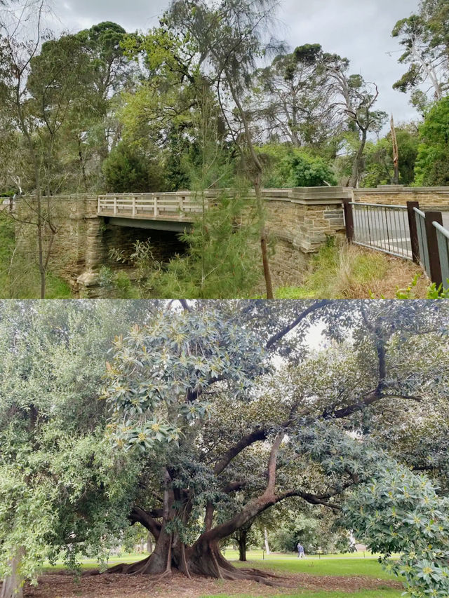 Botanic Park Adelaide