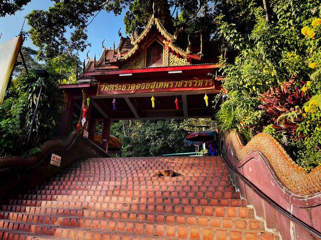 曼谷一天遊之選-爬上素貼山頂的金佛寺