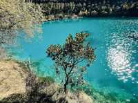 Blue Moon Valley