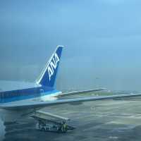 Experience flying All Nippon Airways
