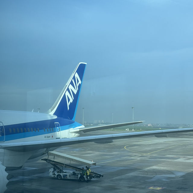 Experience flying All Nippon Airways