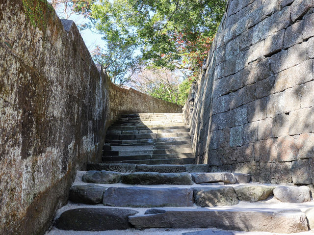 【鹿児島県】 雄大な桜島を一望できる借景庭園『仙巌園』