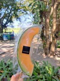 Singha Park