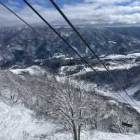 Bluebird Powder day in Cortina, Hakuba, Japan ! 