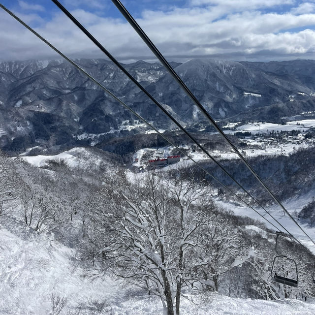 Bluebird Powder day in Cortina, Hakuba, Japan ! 