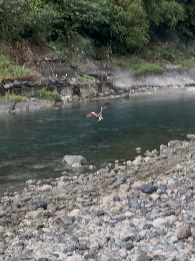 Wulai Old Street: A Scenic Paradise of Flavors, Culture, and Wildlife