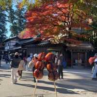 【八王子】気軽に登れる高尾山！