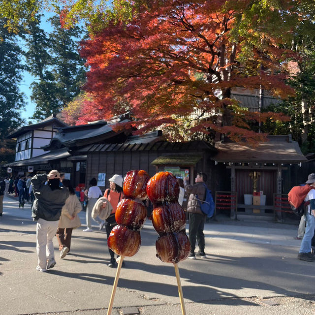 【八王子】気軽に登れる高尾山！