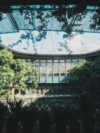 台北 城市中的綠色秘境 臺北典藏植物園