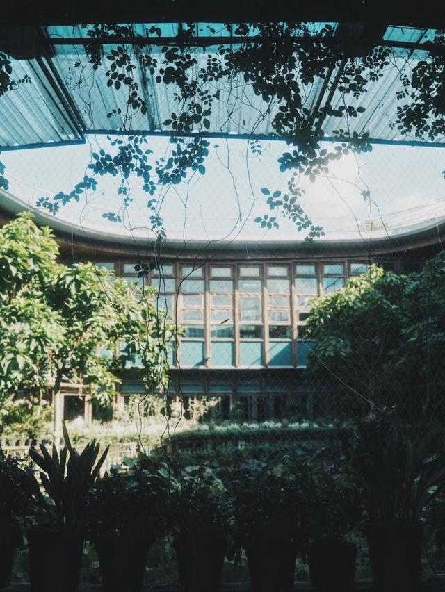 台北 城市中的綠色秘境 臺北典藏植物園