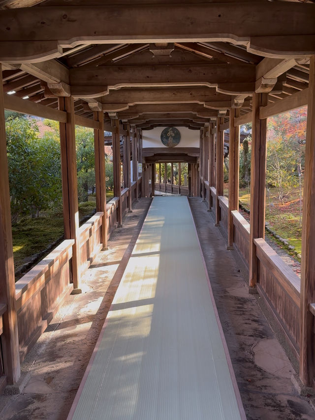 Tenryūji Temple: A Zen Retreat in Arashiyama’s Autumn Splendor