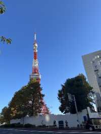 🇯🇵 東京鐵塔這樣玩🗼！