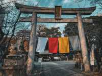 【愛知】厄除け、商売繁盛なら若宮八幡宮がオススメ⛩️